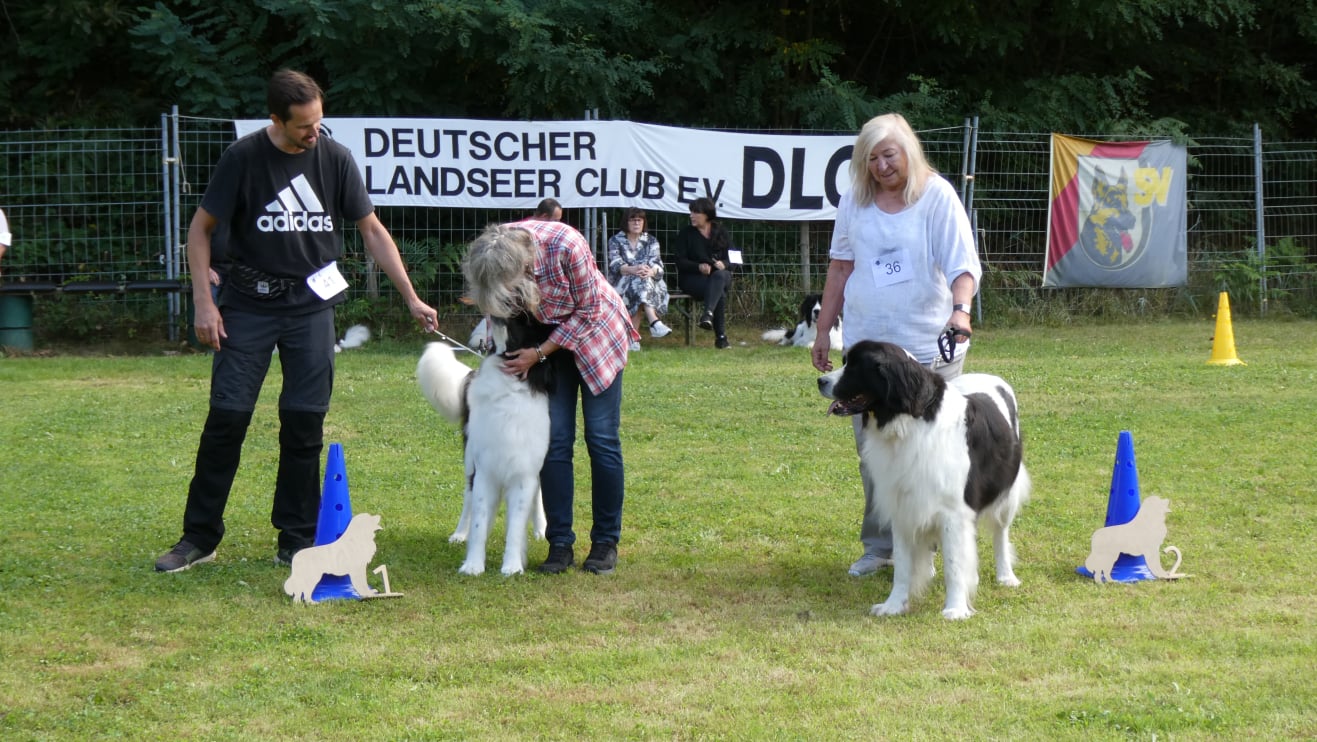 Ausstellung